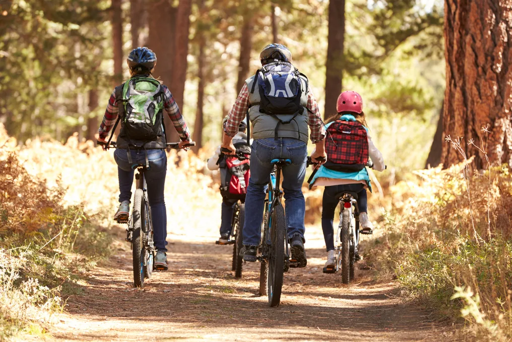 Grupo pedaleando en e-bike por un sendero de bosque