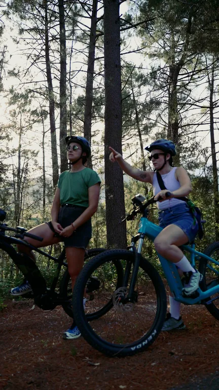 Ciclista de BTT en un pinar de Gredos