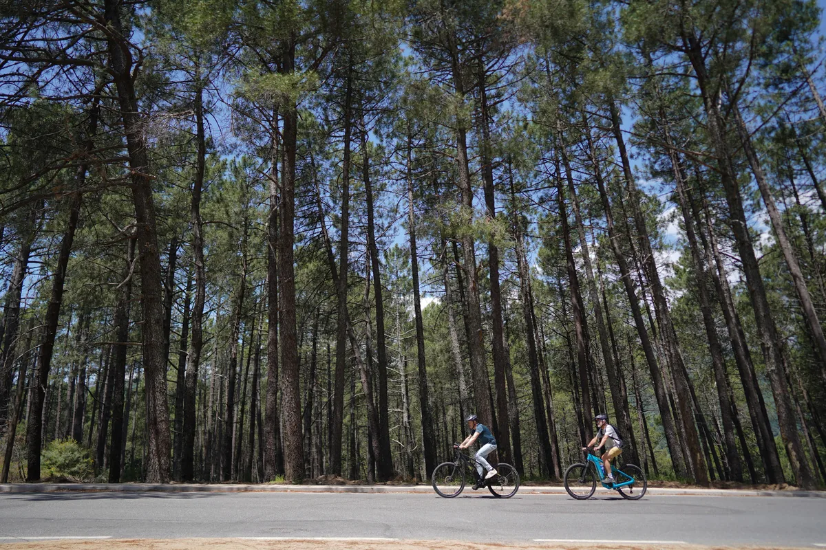 Ruta guiada en e-bike por un pinar de la Sierra de Gredos